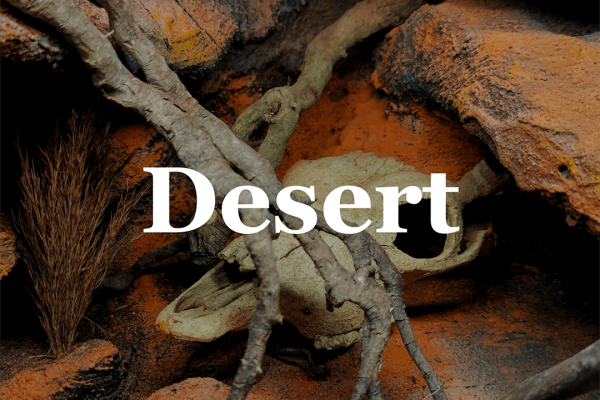 desert-min